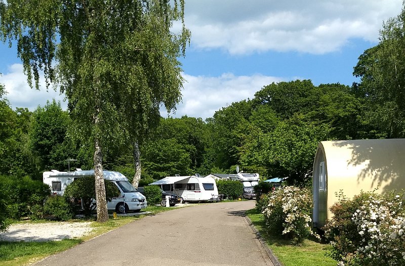 029 foto MVervoorn 2019-05-22 16.27.21-1.jpg